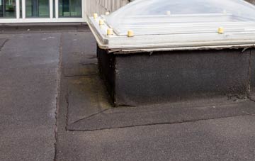 disadvantages of Rowland flat roofs