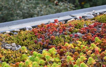 the cost of Rowland green roof installation